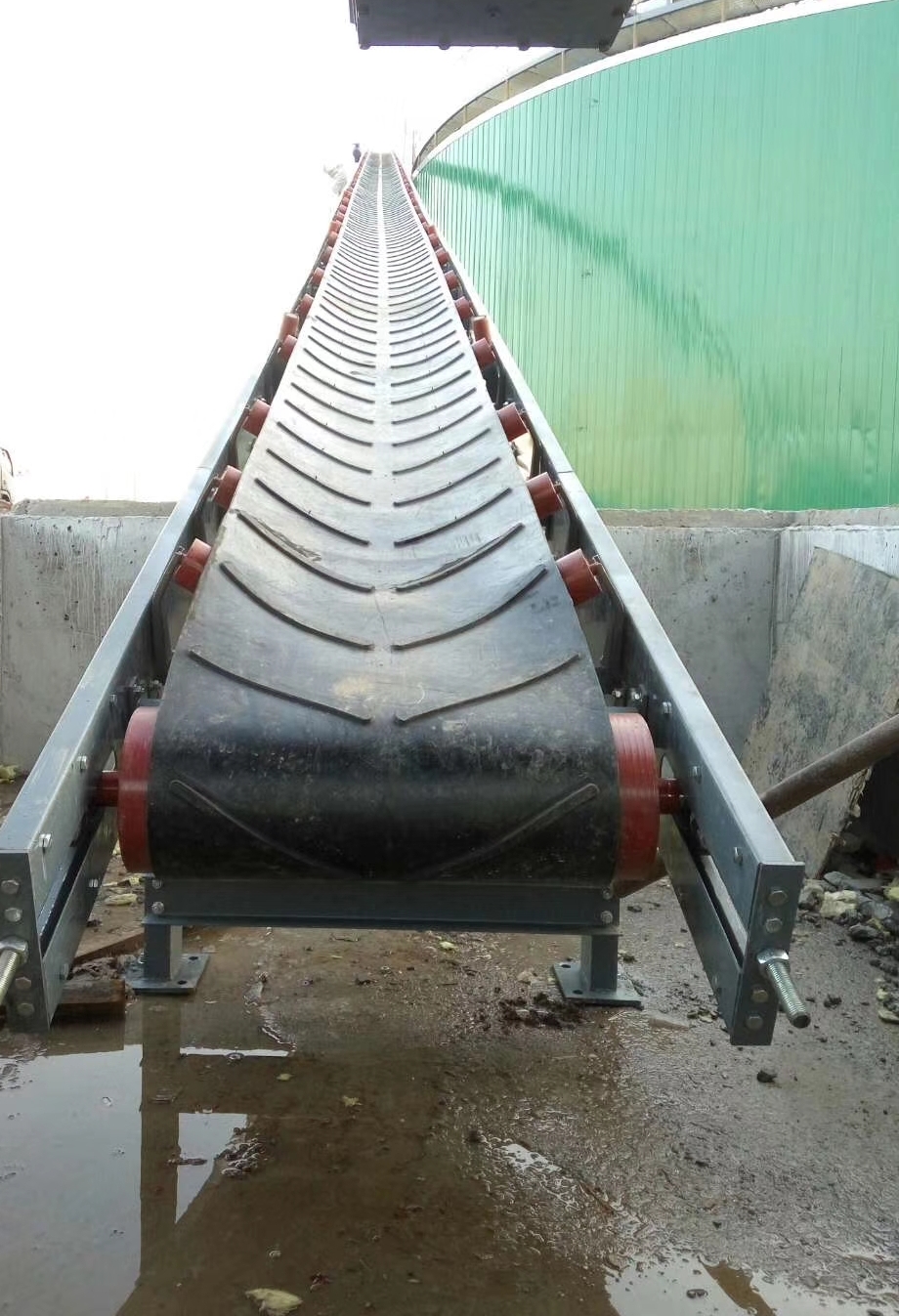 1703847706584909.jpg 0000099 1978.jpg